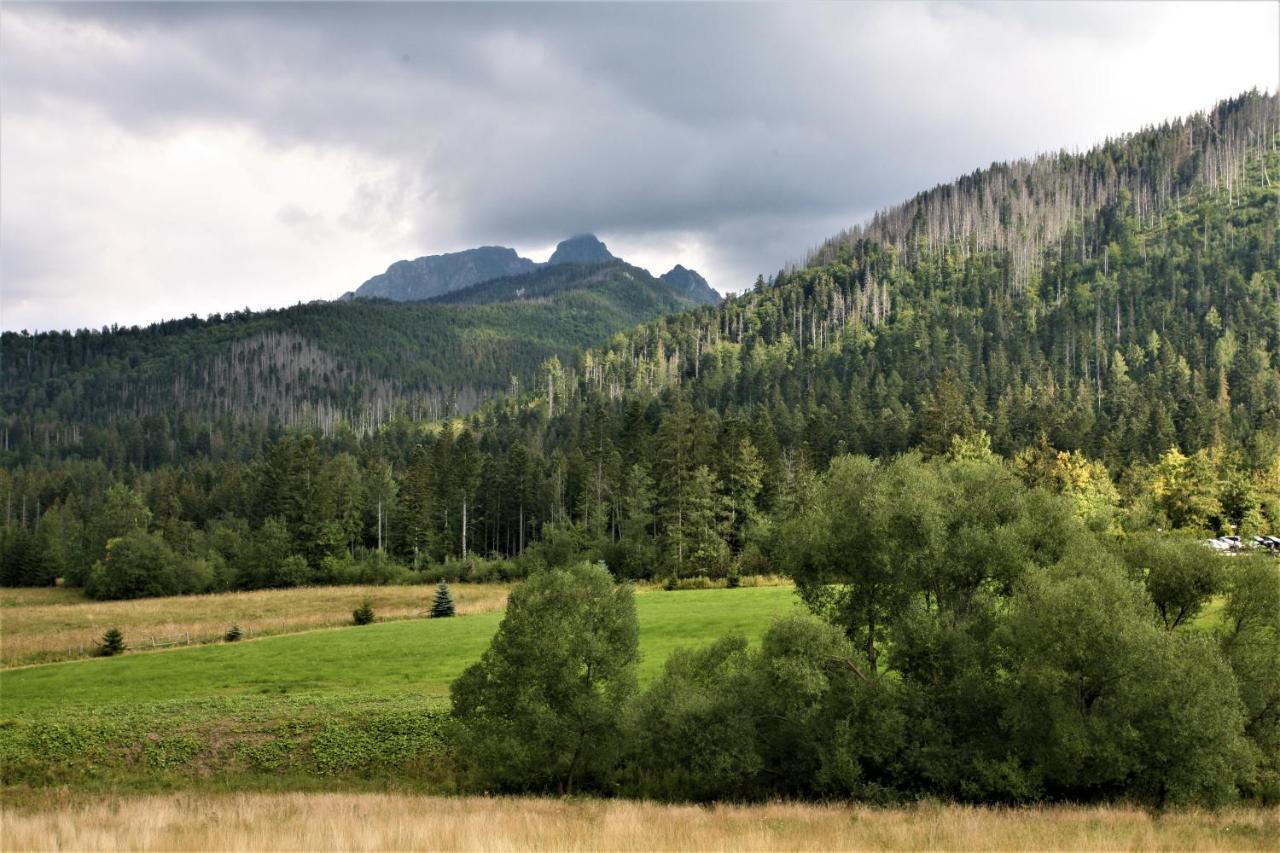 Tatra Rest Lejlighed Kościelisko Eksteriør billede